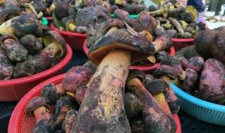 云南有什么好吃的 云南有什么好吃的